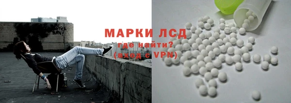 бошки Новодвинск
