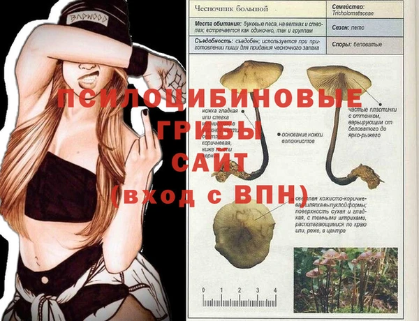 хмурый Новокубанск
