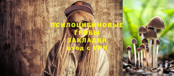 марки lsd Новозыбков