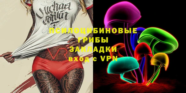 бошки Новодвинск