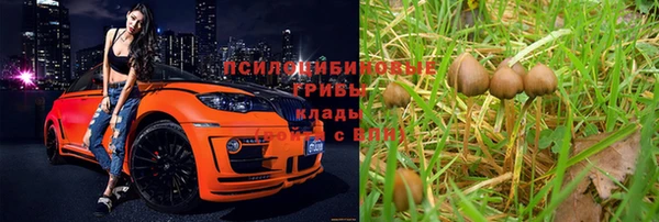 марки lsd Новозыбков
