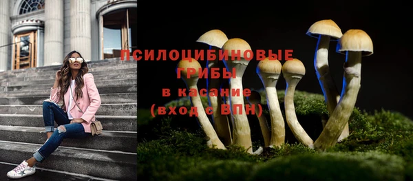 бошки Новодвинск