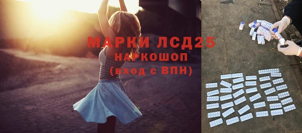 бошки Новодвинск