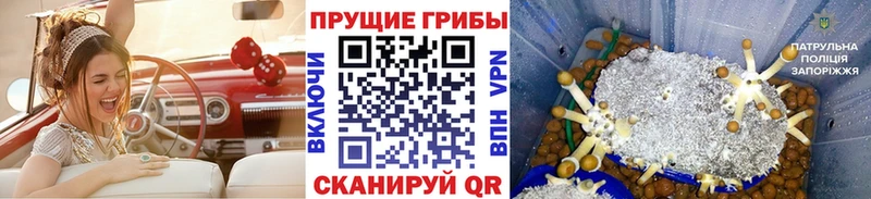 Псилоцибиновые грибы GOLDEN TEACHER  цена   Калачинск 